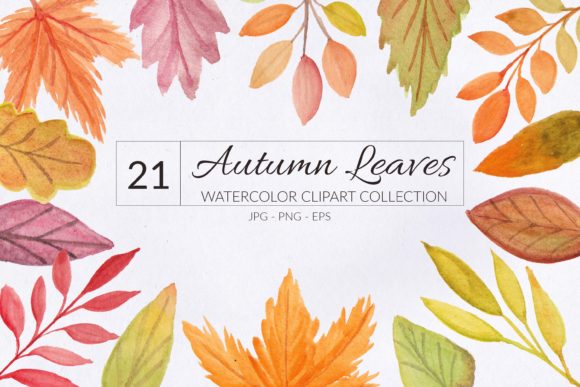 21 Autumn Leaf Watercolor Element for Creative Projects