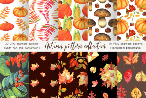 Autumn Pattern Collection: Evaluating a Versatile Watercolor Design Resource