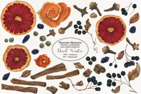 Dried Winter 1: Evaluating a Watercolor Botanical Collection for Design Use