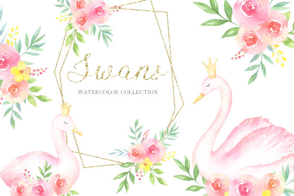 Swans Watercolor Collection: A Practical Review of Hand-Painted Design Assets for Creatives